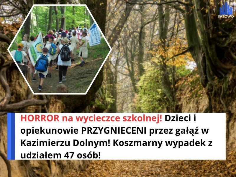 HORROR na wycieczce szkolnej! Dzieci i opiekunowie PRZYGNIECENI przez gałąź w Kazimierzu Dolnym! Koszmarny wypadek z udziałem 47 osób!